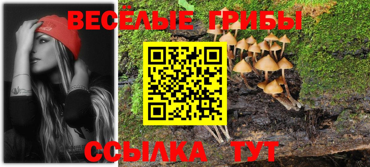 Новосибирск  Галлюциногенные грибы мицелий  сколько стоит  Вход с VPN 